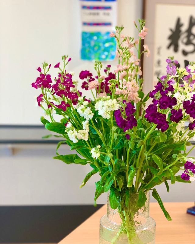 ☔️🌼☔️🌸☔️
ウィルスや花粉飛散には
雨も必要☔️

寒い日となりました
皆さま、どうか体調管理をお願い致します🤲

雪も酷く無さそうです
運転される方々、やはり曇りの日は見づらいから安全第一でお願いします

良い一日をお過ごしください

#花は癒し 
#花のある暮らし 
#雪
#雨のお湿り
#運転きをつけて 
#安全第一