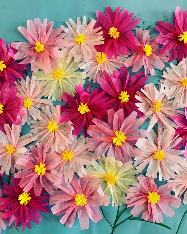 🌸🌼🌸🌼🌸
秋桜が揺れて季節が変わるみたいですが、相変わらず暑いですね

日曜日から涼しくなると聞いています
毎週、週間天気を確認してるけど毎週来週は涼しくなるって言われ、ずーっと待ってます😁

日曜日以降、本当に秋、きますかね🍁
待ち遠しいです
施設内部はすっかり秋模様、皆様の素晴らしい作品が並びます

#秋
#秋桜
#コスモス
#レクリエーション
#壁紙