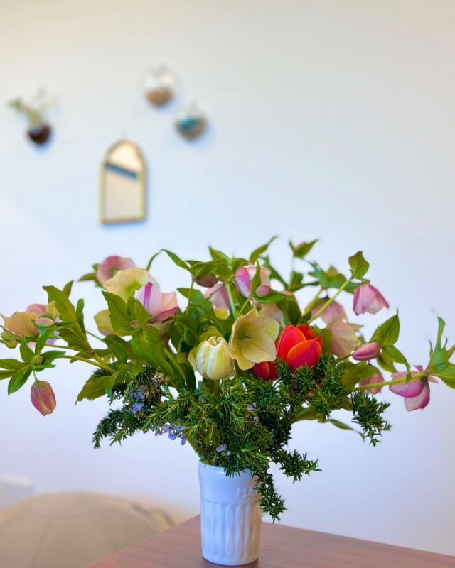 🌼🌸🌸🌼🌸🌼🌸
皆さま大好きなお花をテーブルにお持ちして
春を感じていらっしゃいます
飾り方や生け方も試行錯誤🌼

スタッフも増えて活気があふれてます

#花
#皆さま花が好き
#リビング
#クリスマスローズ
#ローズマリー
#チューリップ
#菊
#元気な色