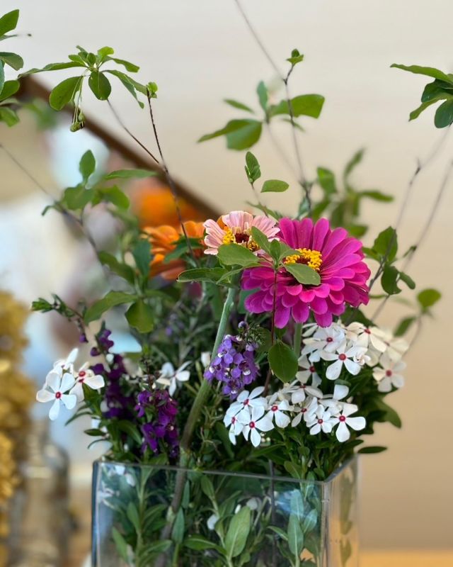 🌸🌼🌸🌼🌸
当施設のご利用者様はお花が大好き
押し花を楽しまれたり
ご自宅で育てていた花々の話をされたり
記憶の海馬を呼び覚ますのがとても上手

たくさん楽しいお話をして若返っていただきたいと思います🌸🌼🌸🌼🌸

#花が好き 
#花が好きな人と繋がりたい 
#花のあるくらし 
#花の話で盛り上がる 
#記憶力アップ 
#海馬よみがえる