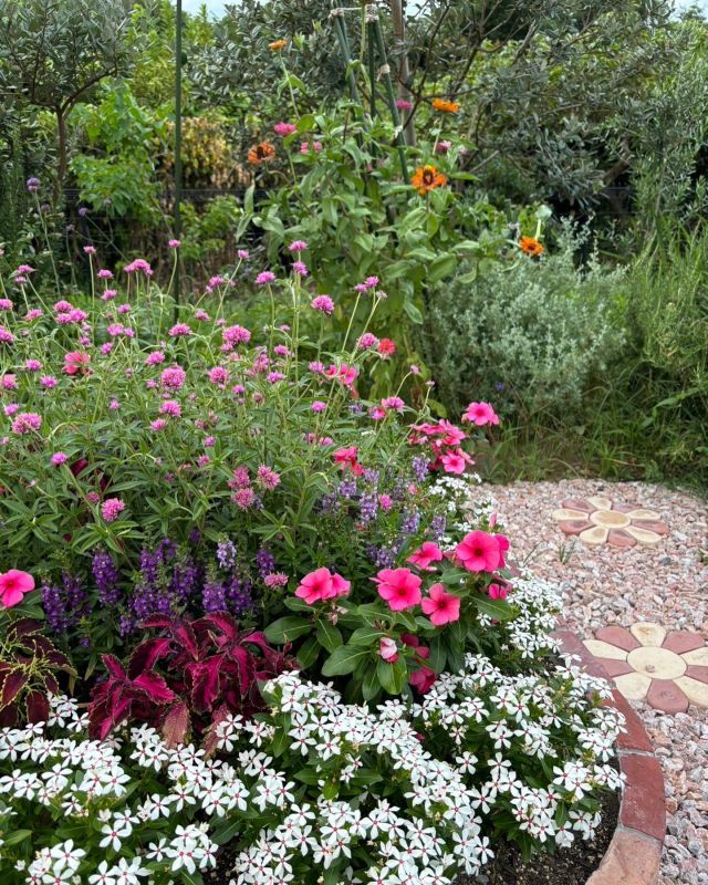 🌸🌼🌺💠🌿
こんにちは
朝晩少し秋の気配🤏
とは言え介護現場はスタッフ汗だくです💦
10月も半ば過ぎて気温が28度とか、厳しいのは人だけじゃなく植物にとっても大変💦

日曜日から一気に気温急降下との予報です
皆さまお風邪などひかないよう、汗をかいたらすぐ着替えて、手洗いうがいして下さい。

今朝の朝礼で施設長がマスク着用、健康に気をつけるよう注意喚起されてました。
みんなでまた寒い冬も一緒に乗り越えていきましょう⭐️

今日も良いお天気です🌿
良い1日を

#晴天
#注意喚起
#施設長
#朝礼
#マスク着用でお願いします 
#手洗いうがい忘れずに