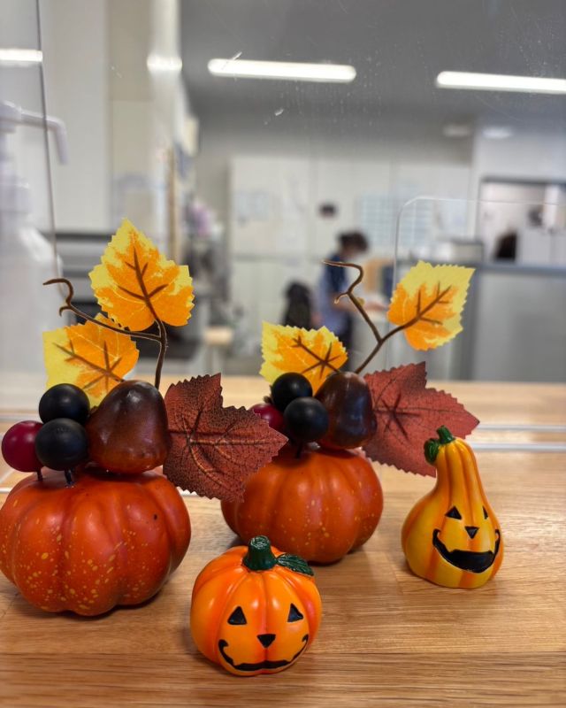 🎃🌾🌔
こんばんは
虫の音が聞こえる今日この頃
ハロウィンの季節がやってきました
少しずつ季節が移ろいでますね🍁
今週もよろしくお願いします
#🎃
#ハロウィン
#秋らしくなってきた 
#昼間は暑い
#虫の音が心地よい 
#今週もがんばろ 
#よろしくお願いします☺︎ 
#朝晩は涼しい