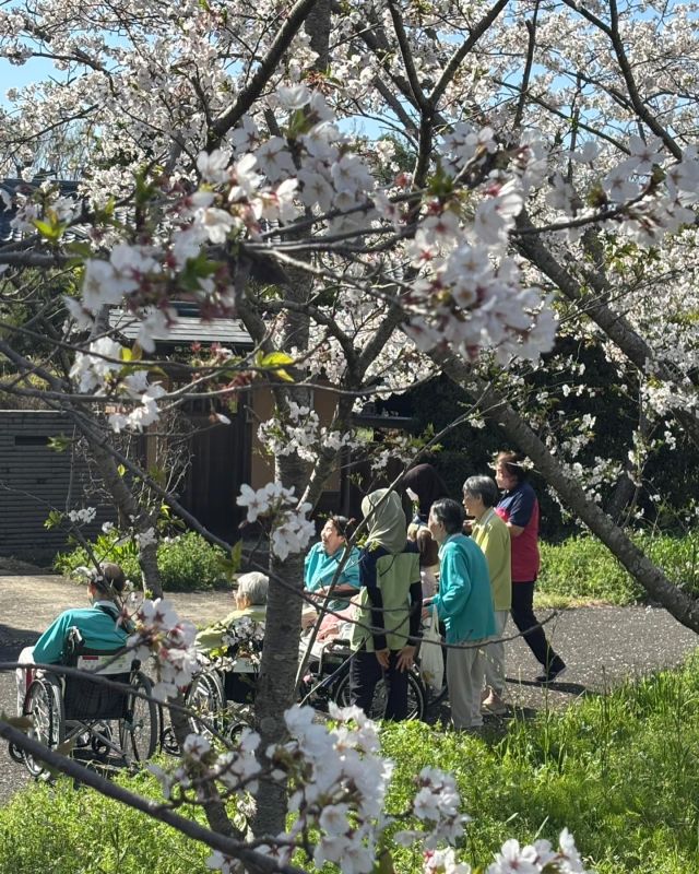 🌸🌸🌸🌸🌸
🌸🌸🌸🌸
🌸🌸🌸
こんにちは🌸
今日は皆様と暖かな日差しの中、お花見して来ました🌸
嬉しそうなお顔☺️
きれいな季節ですね

#お花見
#🌸
#桜舞う 
#スタッフお疲れ様でした
#心優しいスタッフ
#みんな優しい
#利用者さまの笑顔が見たい