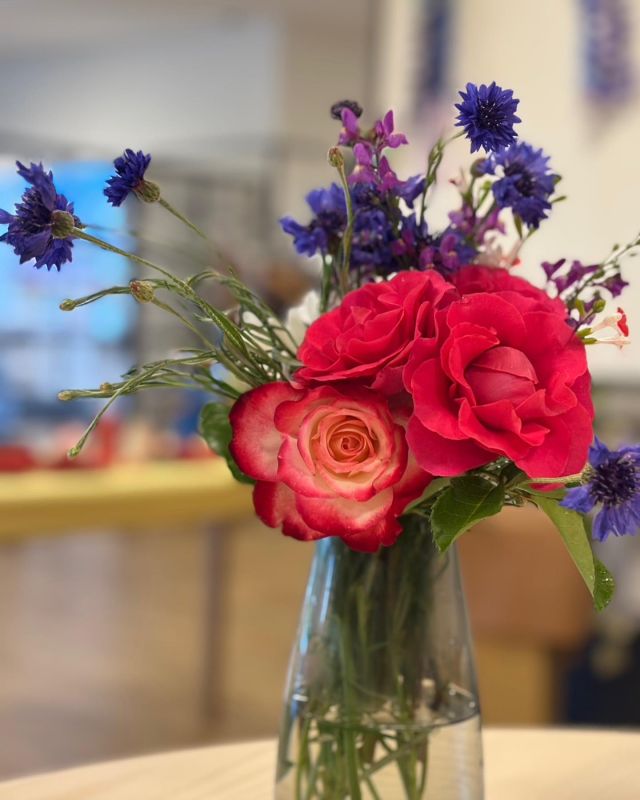 🌹
薔薇が咲いた薔薇が咲いたぁ
真っ赤な薔薇ぁああがあ^_^🎶🌹

華やかな薔薇、飾りました🌹🌹🌹
女性だけでなく男性の方からも
美しい…と喜ぶ声が。

やっぱり美しいものはみんな大好き❤
少しでも美しさを求めて
今日も頑張った参りましょう🌹✨

#美しい 
#きれいです 
#エントランス
#みんなきれいなものが好き
#薔薇
#バラ
#薔薇が咲いた
#真っ赤な薔薇
#矢車草
#ミントの花